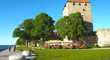 Följ med på en visning av Fornsalen, det kulturhistoriska museet och få en inblick i Gotlands rika historia.