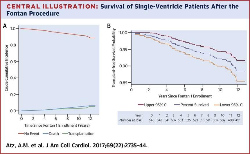 Survival Data and Predictors of Functional Outcome an Average of 15