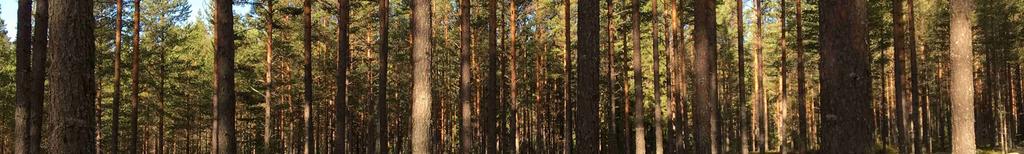 Natur och Kultur Inga nyckelbiotoper, höga naturvärden