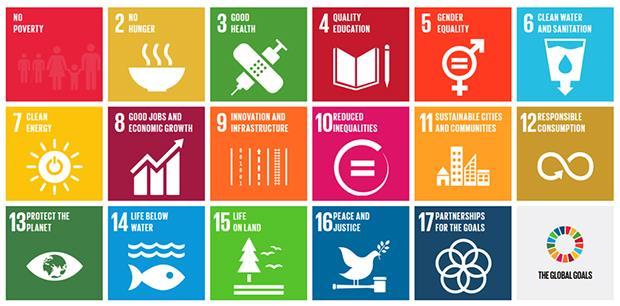 Tillsammans för social hållbarhet De 17 globala målen för hållbar utveckling (SDG) i Agenda 2030 som antogs av FN:s generalförsamling i september 2015 trädde officiellt i kraft den 1