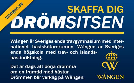 nämligen n Hellstedt. Hur kom du in i trvets värld? g vr år gmml oh lärde mig myket v min ppp Olle hemm på gården.