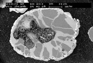 Figur 8 Illustration av snittat gammalt bäddkorn från Falu Energi. Bäddprovet är uttaget efter 6 månaders drift. Figure 8 Illustration of a cross-section of an old bed-particle from Falu Energi.