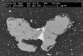 to the left) and Bark (lower to the right) in the bench-scale reactor. 4.3 Regenereringsmetoder 4.