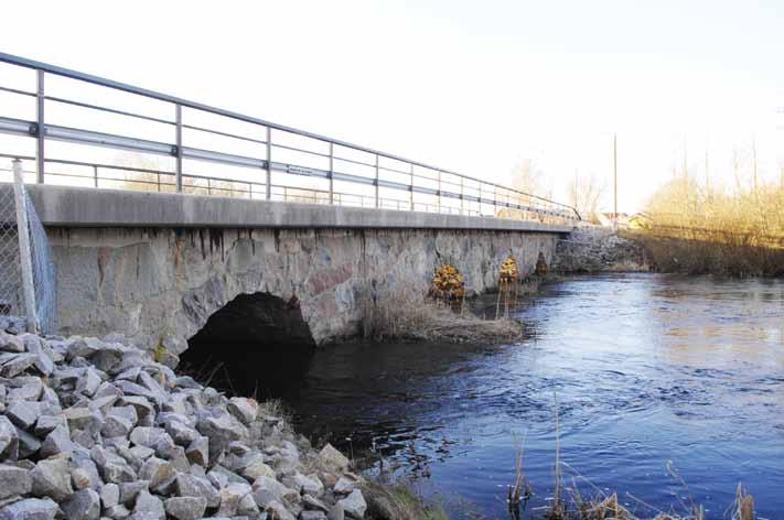 F 75 Bro över Södra Emån vid Upplanda Låga och flacka spann ger en bro med en låg och långsträckt form.