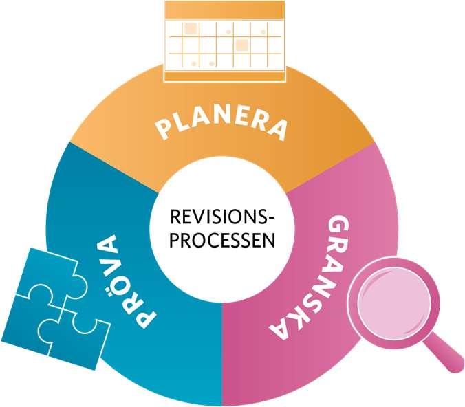 Grundläggande granskningen är otillräcklig Verksamhet, processer, rutiner Revisionsprocessen Riskanalys inventera, analysera, bedöma.