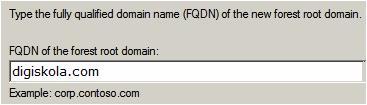 Domain Name: diginto.