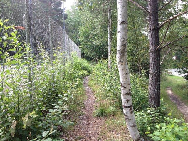 3 Motionsspår Skånsta innan markberedning Markberedning Skånsta