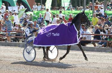 GRATULERAR L.K. 10/2013 L.K. - Leif Witasp - Rättvik - 3 augusti 1.14,6/2640a - odds 9,48 - förstapris 100.