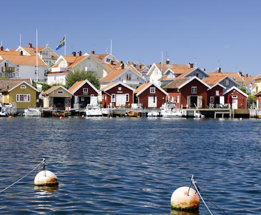 Växter o djur Generellt