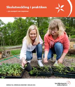 Bidrag ur SIS-medel 2006-2014 Medel för utvecklingsprojekt kan sökas för att främja lärandemiljön där erfarenheterna på sikt tas tillvara i den ordinarie verksamheten o ca 100