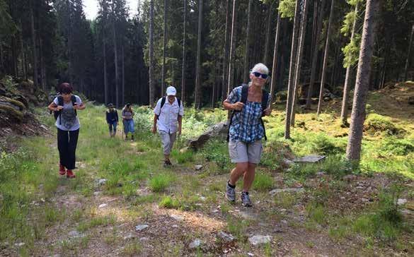 bild: louise blomqvist Pilgr imsvandring Välkommen med på en tvådagars pilgrimsvandring 22 23 september då vi vandrar Hedared-Ödenäs-Töllsjö Start lördag 22 september klockan 9.