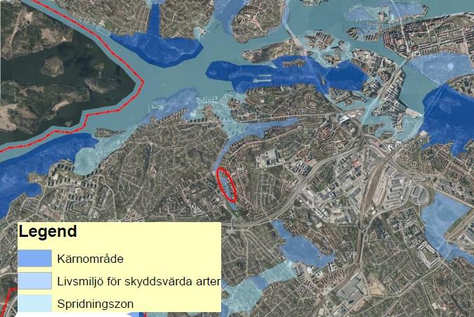 Sida 4 (6) Förvaltningens synpunkter och förslag Naturmark I planbeskrivningarna står det att området inte bedömts utgöra ett ekologiskt särskilt betydelsefullt område.