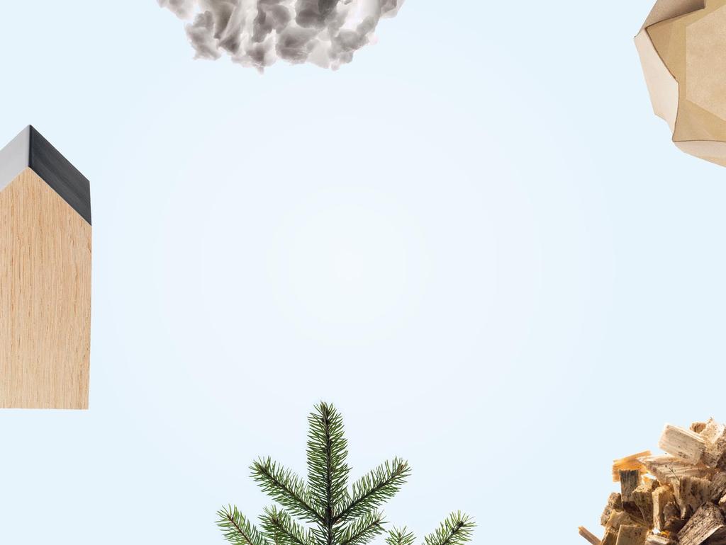 EU:s klimat- och energipolitik ur ett