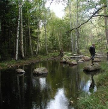 Exempel åtgärder fysisk