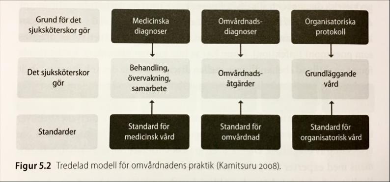 kliniska arbetet Ökad patientsäkerhet Vad är NANDA International?