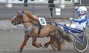 Start : Brelopp,r. s.