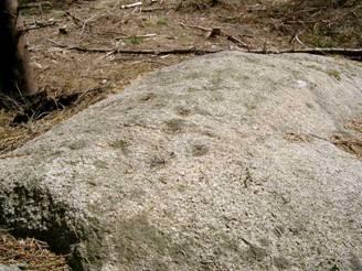 Natur Mark och vegetation De delar av området som är aktuella att bebyggas är en gräsbevuxen bostadstomt med enstaka fruktträd i sydöstra delen av området.