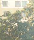 3.