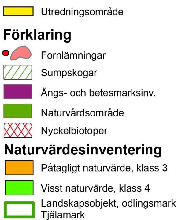 naturvärde vid bäckraviner och ängs/betesmarker