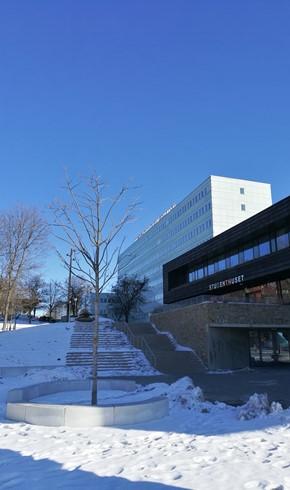 En utvärdering skickas via mejl till alla som medverkat på mässan, vi är tacksamma för att få ta del av alla synpunkter för fortsatt utveckling av evenemanget.