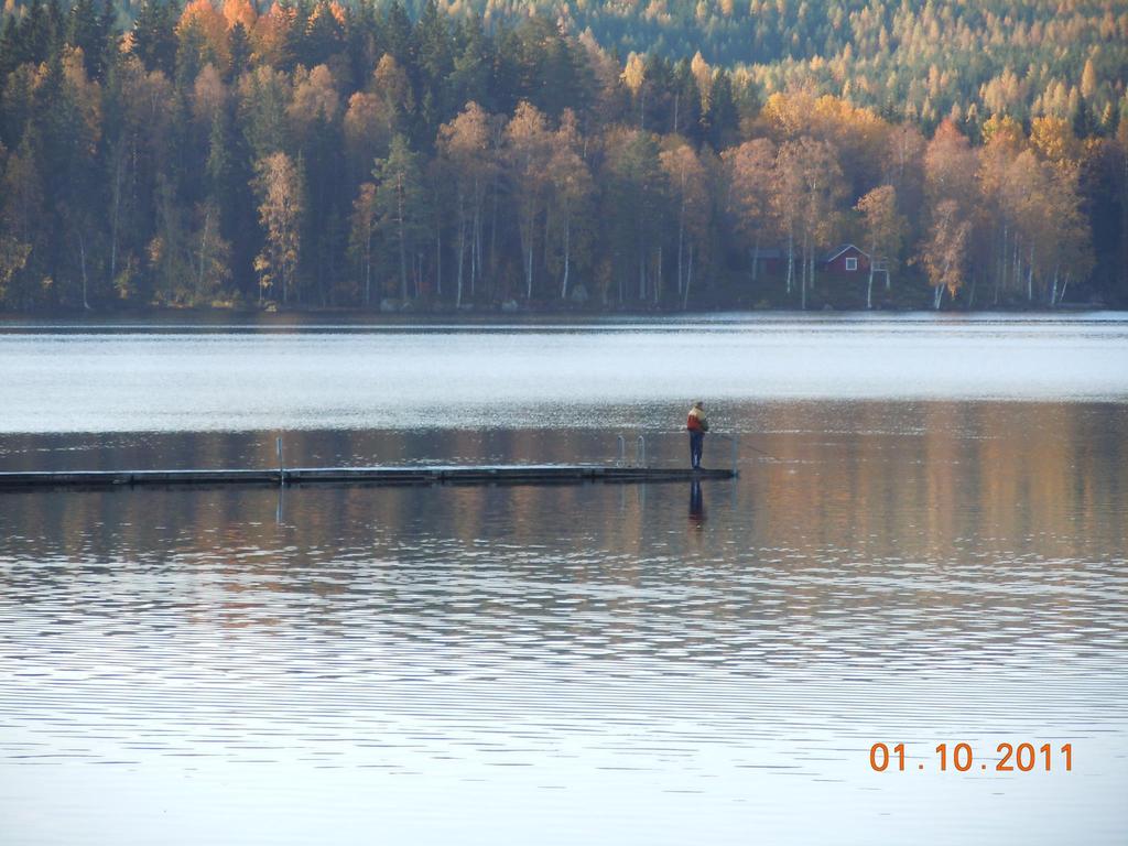 Budgetuppföljning Oktober 2017