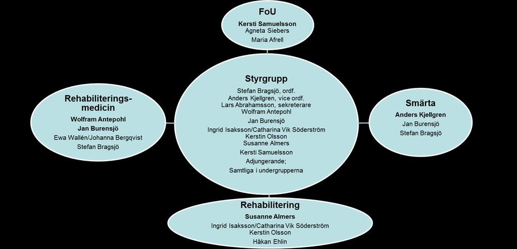 Under 2017 har styrgruppen för RMPG rehabilitering, rehabiliteringsmedicin och smärta träffats vid fem tillfällen (varav två videomöten och ett internattillfälle).