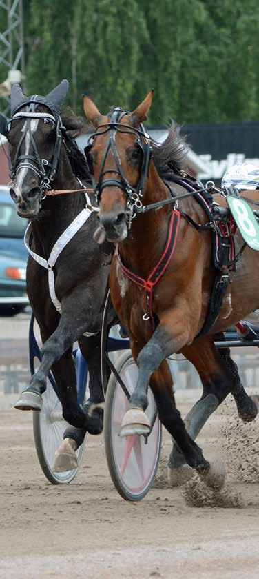 HalmstadTravet Fredag augusti Första start kl.