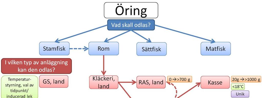 Om en lämplig lokalisering kan hittas och tillstånd beviljas bedöms matfiskodling av öring utgöra en unik produkt.