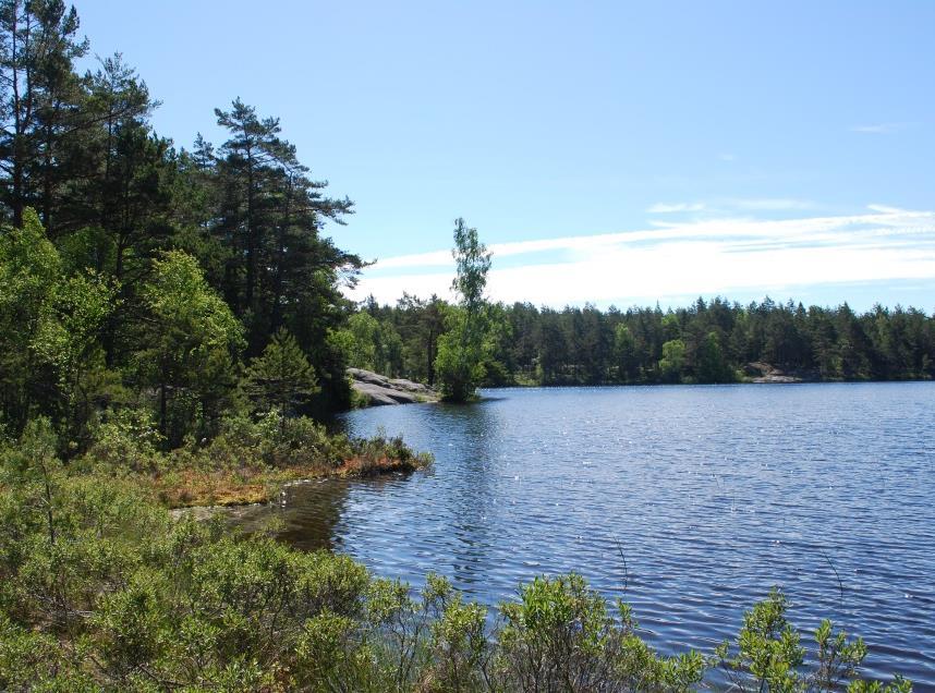 Figur 1. Lilla Acksjön (t.v.) i södra Enhörna är ett exempel på en näringsfattig sjö som är omgiven av barrskog och myrar. Avrinningen från sjön är ett biflöde till Skarbroträskbäcken.