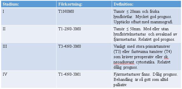 klassifikationen anses vara T-stadium. Även lymfknuteengagemang är av prognostiskt värde (tabell 3). [2] Den vanligaste lokalisationen av metastaserad bröstcancer är i axillen.