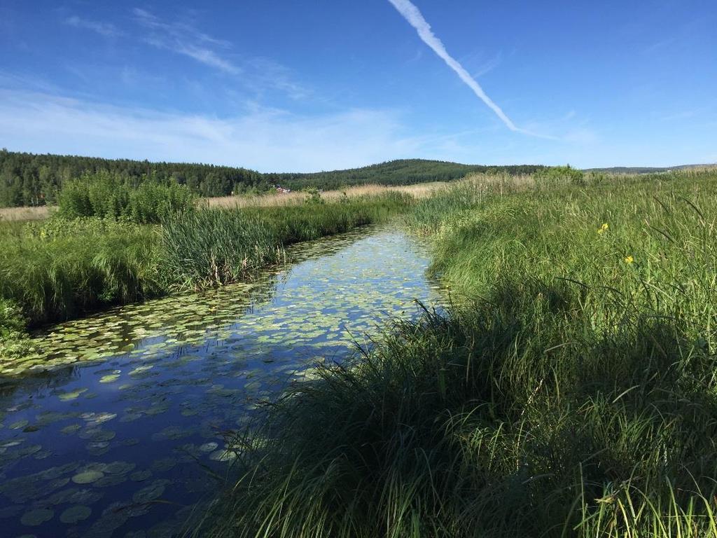 7.3 Dagvatten Dagvattnet i området får ej ledas ut i slänterna då jorden i området är finkornig och känslig för erosion.