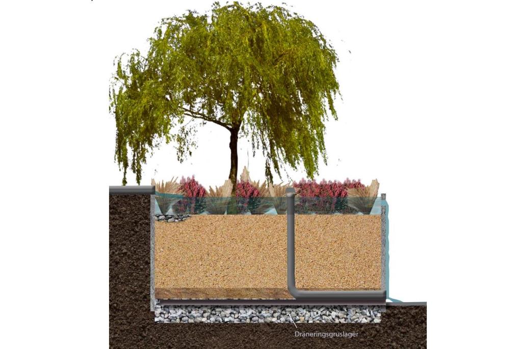 växtligheten i de flesta fall är fördelaktigt med en jordart som kan hålla en större vattenmängd. Ett exempel på hur en regnbädd kan konstrueras visas i figur 5-4 och figur 5-5.