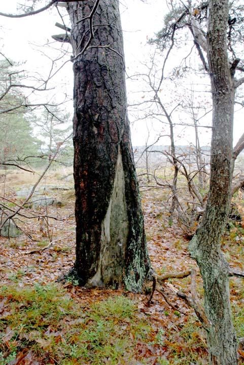 KUNGSÄNGEN, UPPLANDS-BRO KOMMUN