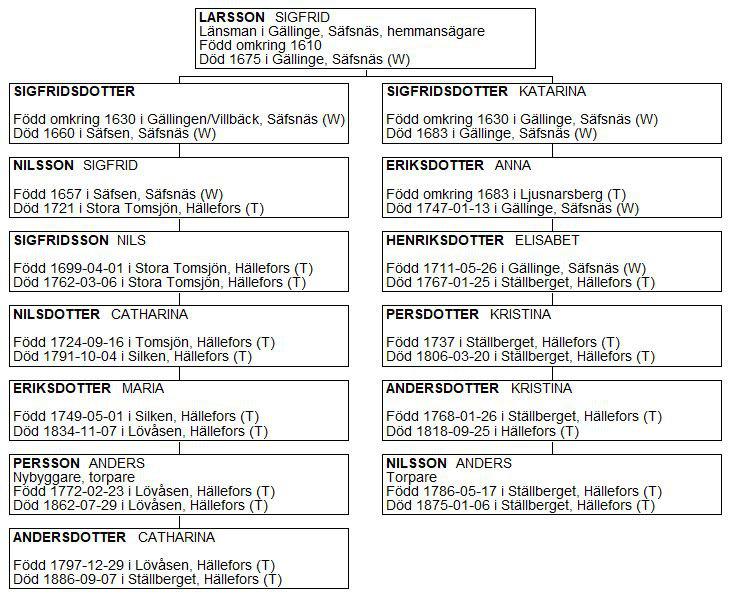 Det är många generationer mellan Anders Anderssons föräldrar, Anders Nilsson och Catharina Andersdotter och Mats Jönsson Lankinen, så de lär knappast ha känt till att de var släkt via honom.