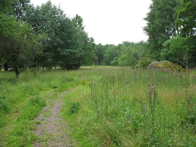 Vid inventeringstillfället var växtligheten omfattande. Vid Lindsnäs växte gräset så högt att det inte var möjligt att dokumentera bebyggelselämningen.