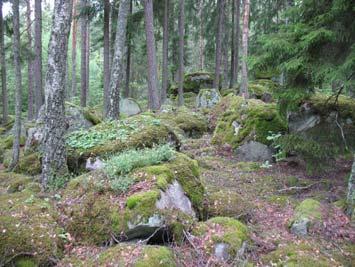 1974). Utredningsområdet ligger idag i ett skogsområde som bär spår efter uppodling genom öppna partier runt den gamla bebyggelsen Lindsnäs.