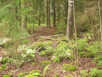 I nordöst ner mot flack mark övergår muren till en flerradig stensträng. Av läget att döma tycks stensträngen-muren utgöra gräns mellan blockrik skogsmark och odlad mark.