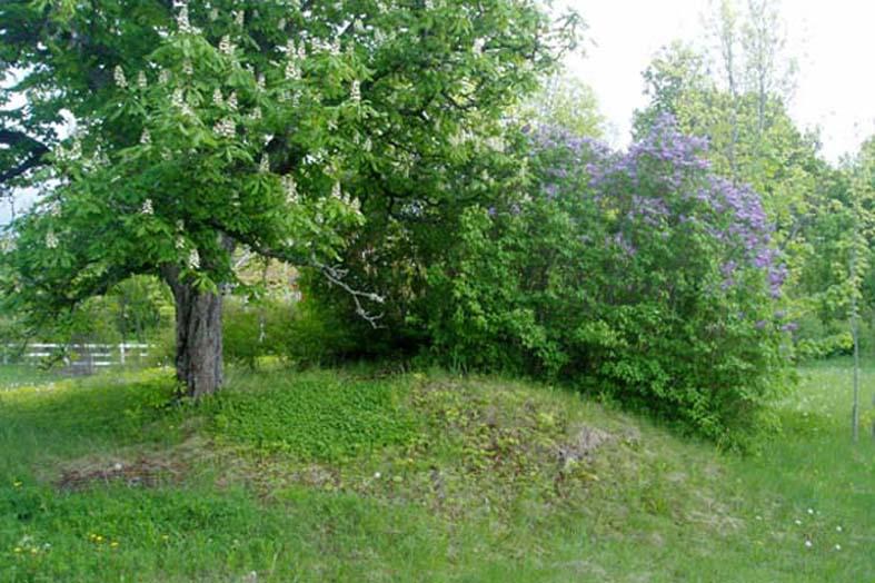 2:2 SKATTEGÅRDEN Torp nr Tidigare fastighetsbeteckning Backstuga 24 Lindbergsstugan Torpet finns på Häradsekonomisk karta 1868-77, markerat med Bs 32. Torpet finns inte kvar.