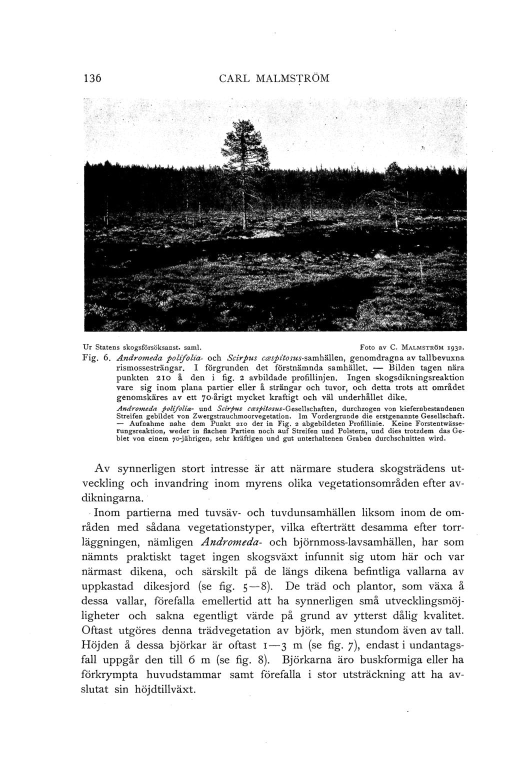 136 CARL MALMSTRÖM Ur Statens skogsförsöksanst. saml. Foto av C. MALMSTRÖM 1932. Fig. 6. Andromeda polifolia- och Scirpus cmspitosus-samhällen, genomdragna av tallbevuxna rismossesträngar.