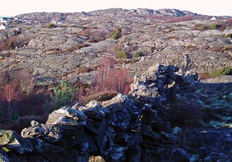 8 Bohusläns museum 2007:78 Landsk apsbild Naturlandsk ap Landskapet är typiskt för denna del av Bohuslän, med förhållandevis kala bergspartier och mellanliggande flacka dalgångar.