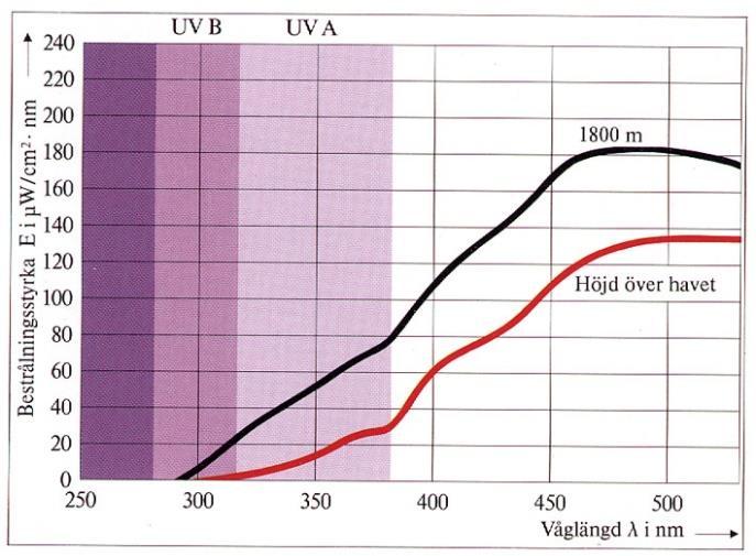 I glödlampsljus förekommer strålningen endast i ringa omfattning men däremot strålar lysrör även inom UV-området.