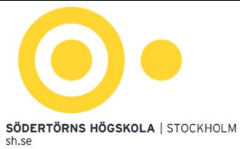 Revisionspliktens avskaffande En studie om hur revisorns roll har förändrats efter avskaffandet av revisionsplikten i små aktiebolag Av: Therese Engvall och Johanna Snees