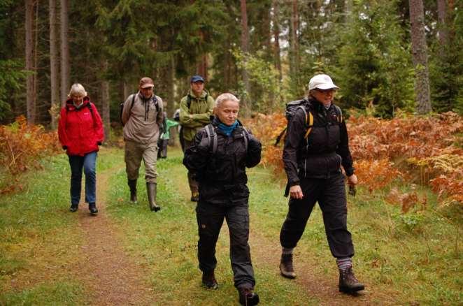 NATUR F R I LU F T S L I V & D J U R Det är både hälsosamt och avkopplande att vandra omkring