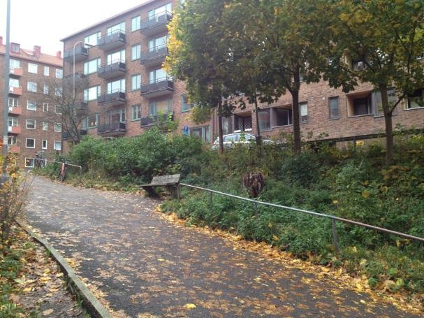 Del av gällande detaljplan Mark, vegetation och fauna Planområdet är parkmark i sluttning och inrymmer gräs, buskar och ett träd.