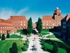 Universitet och