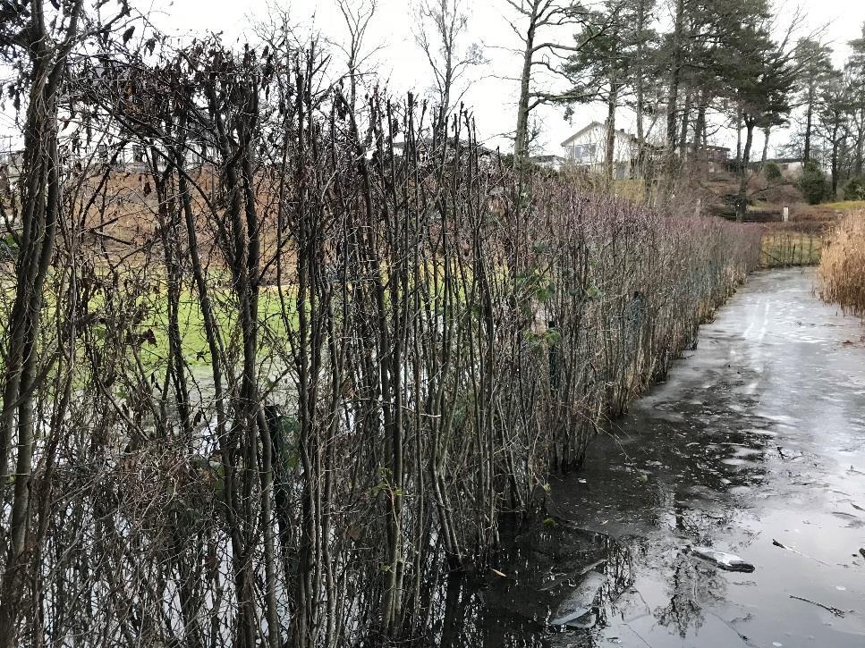 Om avstyckningen av tomter blir verklighet anser förvaltningen att förslaget åtminstone ska innehålla åtgärder för hur strandpromenadens läge ska ändras i förhållande till de nya tomterna.