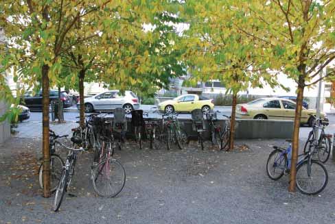 för cykel i grus under träd