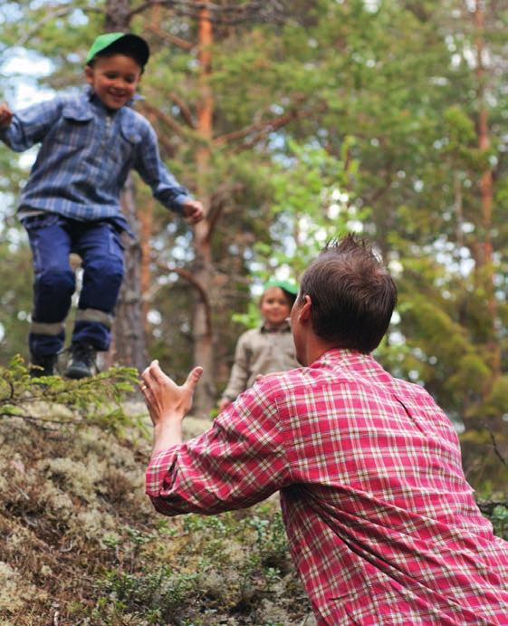 3 FOU-inriktning Norrskogs Forskningsstiftelse ska med sin verksamhet främja lönsamheten i familjeskogsbruket.