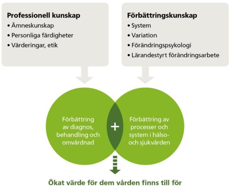 Förbättringskunskap Förbättringsarbete Utvecklingsarbete