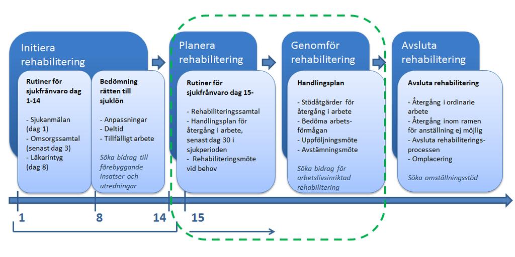 3. Rehabiliteringsutredning - planera och genomför rehabilitering Från och med sjukdag 15 är det Försäkringskassan som bedömer rätten till ersättning och utbetalar sjukpenning.